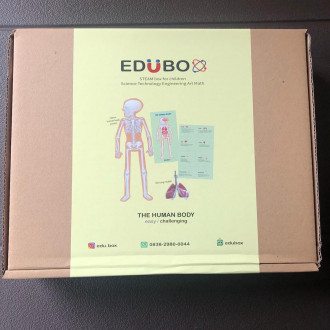 Human Challenging Box (Edu Box)