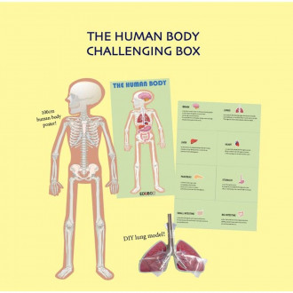 Human Challenging Box (Edu Box)